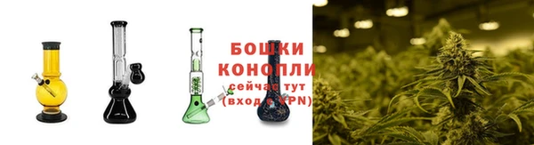 альфа пвп Нея