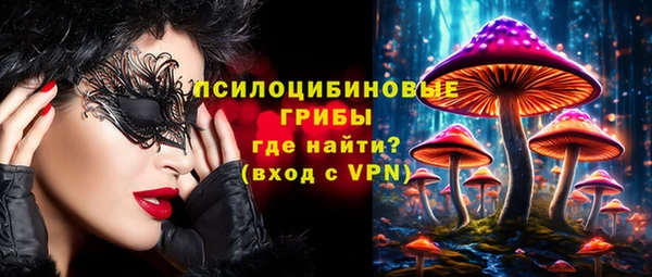 прущие грибы Абдулино