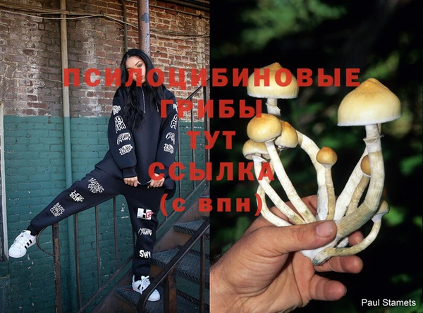 бутик Абаза