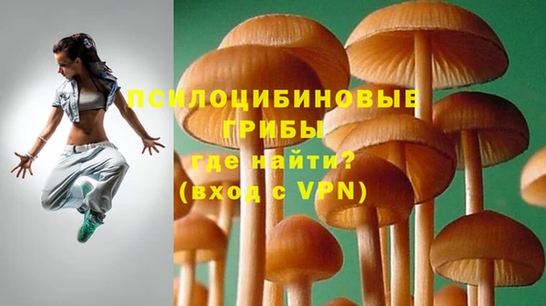 прущие грибы Абдулино