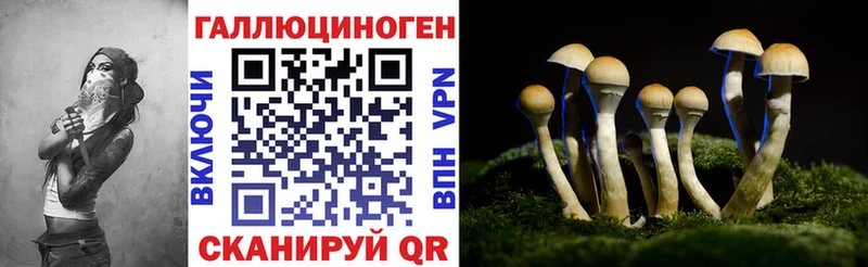 где купить   Усмань  Псилоцибиновые грибы Magic Shrooms 